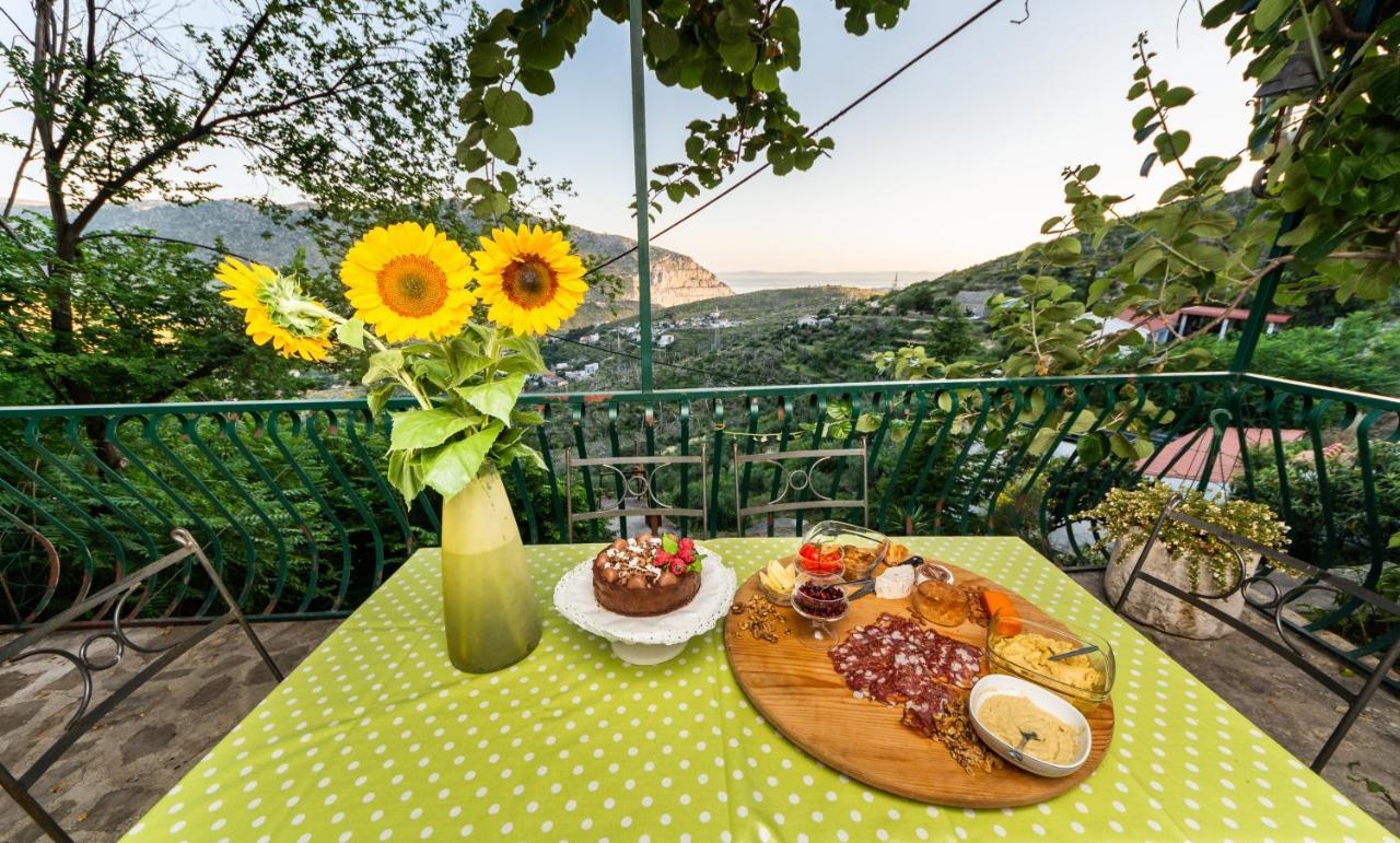 Villa Blanka Žrnovnica Eksteriør billede