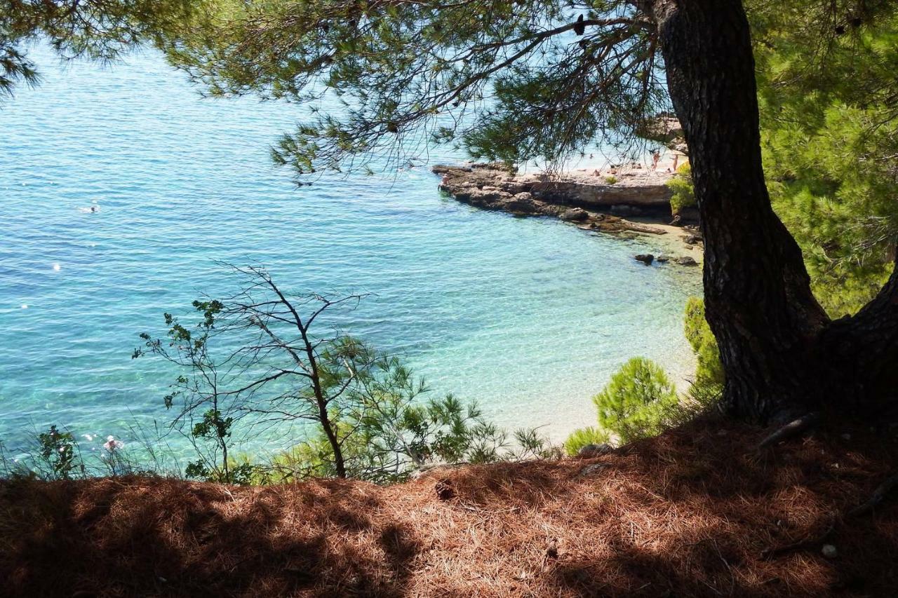 Villa Blanka Žrnovnica Eksteriør billede
